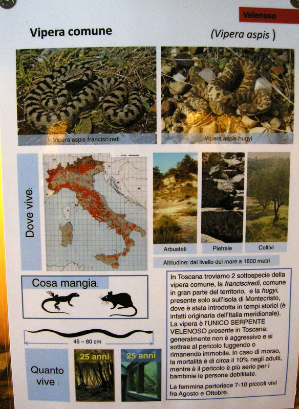 L''apertura del RETTILARIO MALENOTTI
